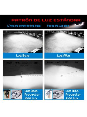 rplgt69004-600x800